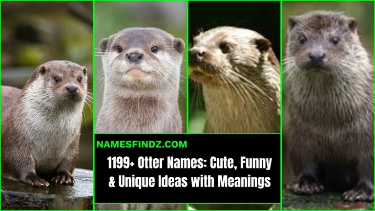 699+ Otter Names: Cute, Funny & Unique Ideas with Meanings