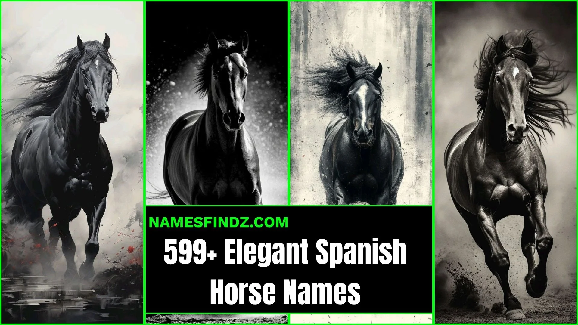 599+ Elegant Spanish Horse Names: Best for Your Loyal Friend