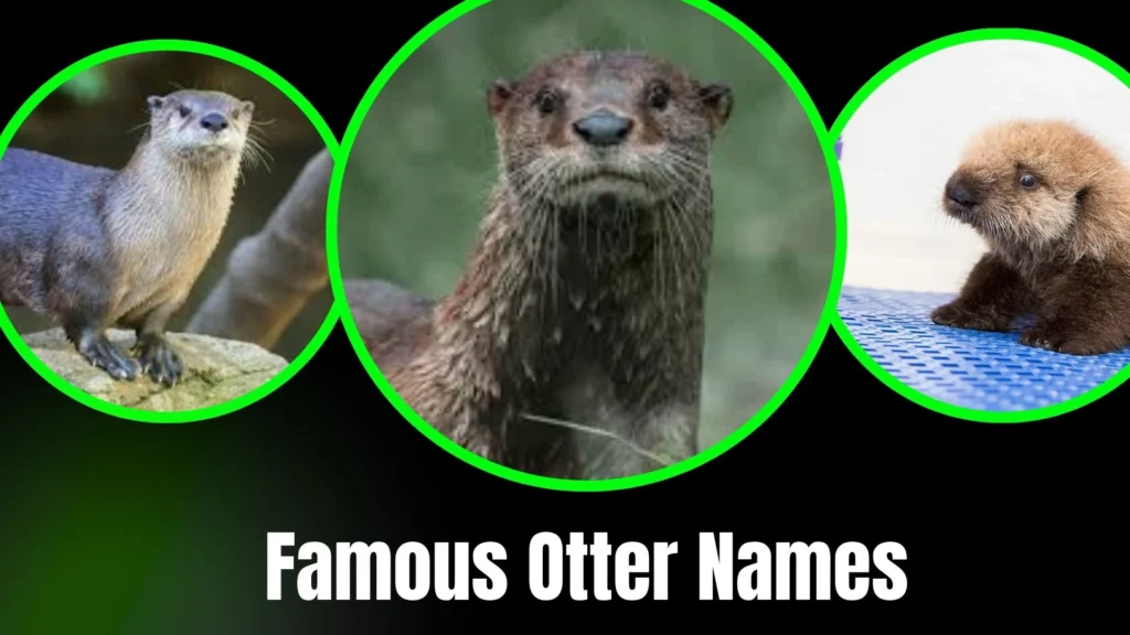 Famous Otter Names