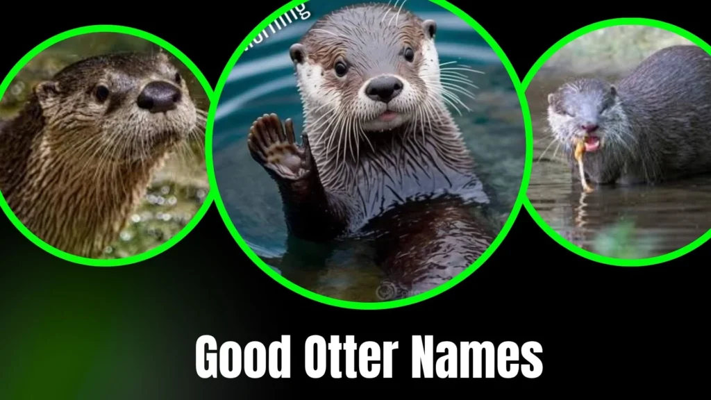 Good Otter Names